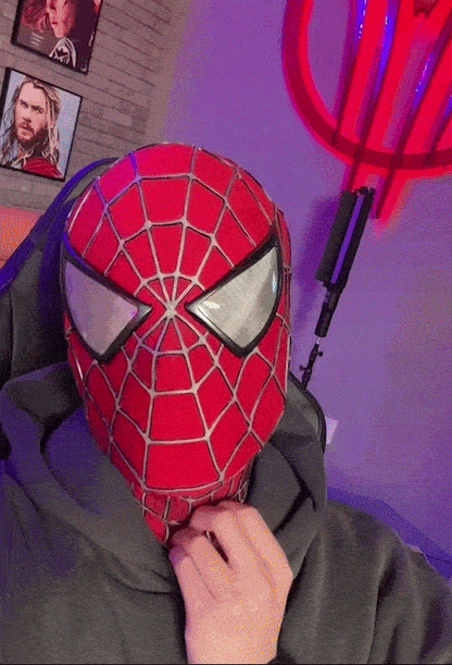 Tobey Maguire Special Edition Mask